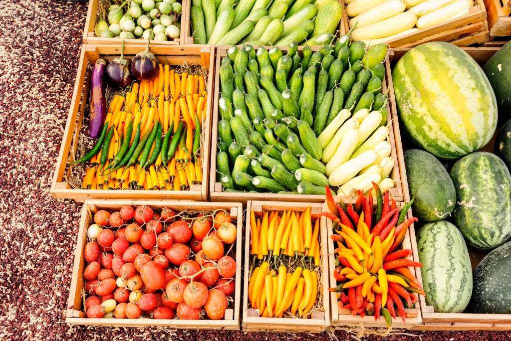 Qué es la autorización sanitaria para productos de origen vegetal y cómo obtenerla con cofepris